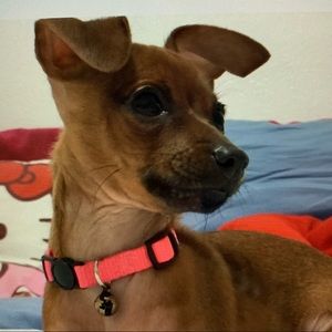 Meet your Posher, Anna